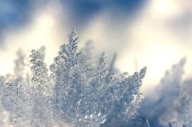 Screenshot von Snowflake Brushes extension of PGEI Screenshot-Bild von Snowflake%20Brushes